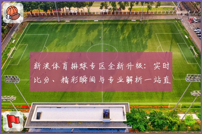 新浪体育排球专区全新升级:实时比分、精彩瞬间与专业解析一站直达