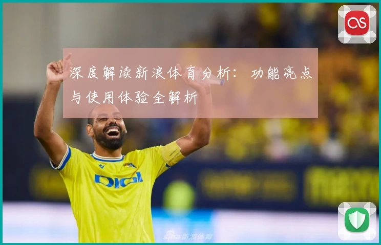 深度解读新浪体育分析：功能亮点与使用体验全解析