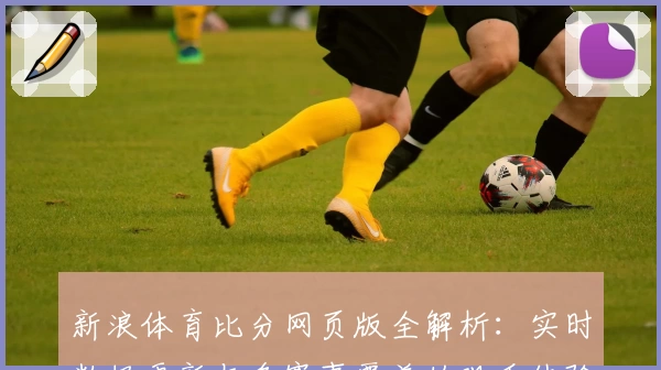 新浪体育比分网页版全解析：实时数据更新与多赛事覆盖的观看体验