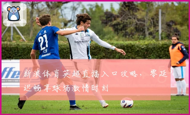 新浪体育英超直播入口攻略，零延迟畅享球场激情时刻