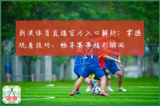 新浪体育直播官方入口解析：掌握观看技巧，畅享赛事精彩瞬间