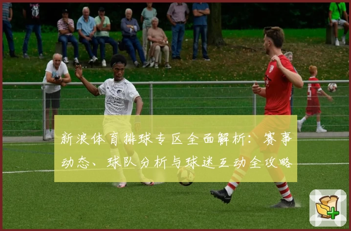 新浪体育排球专区全面解析：赛事动态、球队分析与球迷互动全攻略