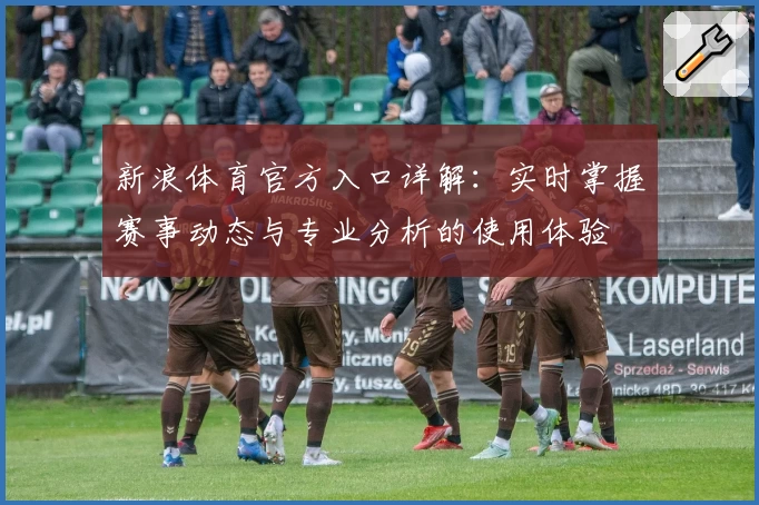 新浪体育官方入口详解：实时掌握赛事动态与专业分析的使用体验