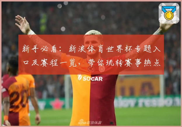 新手必看：新浪体育世界杯专题入口及赛程一览，带你玩转赛事热点
