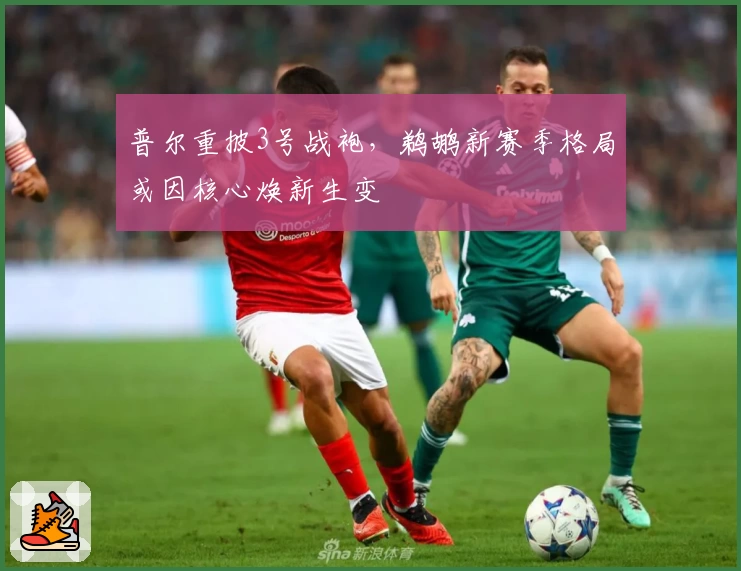 普尔重披3号战袍,鹈鹕新赛季格局或因核心焕新生变