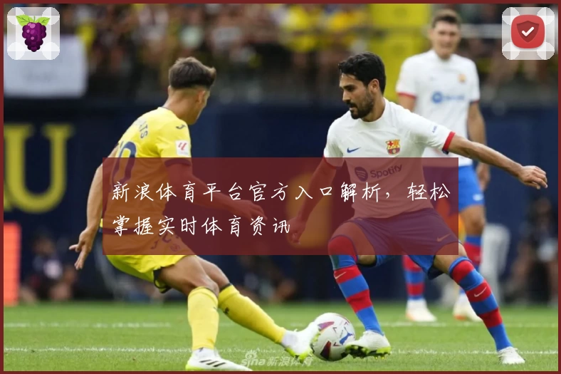 新浪体育平台官方入口解析，轻松掌握实时体育资讯